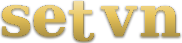 set vn logo